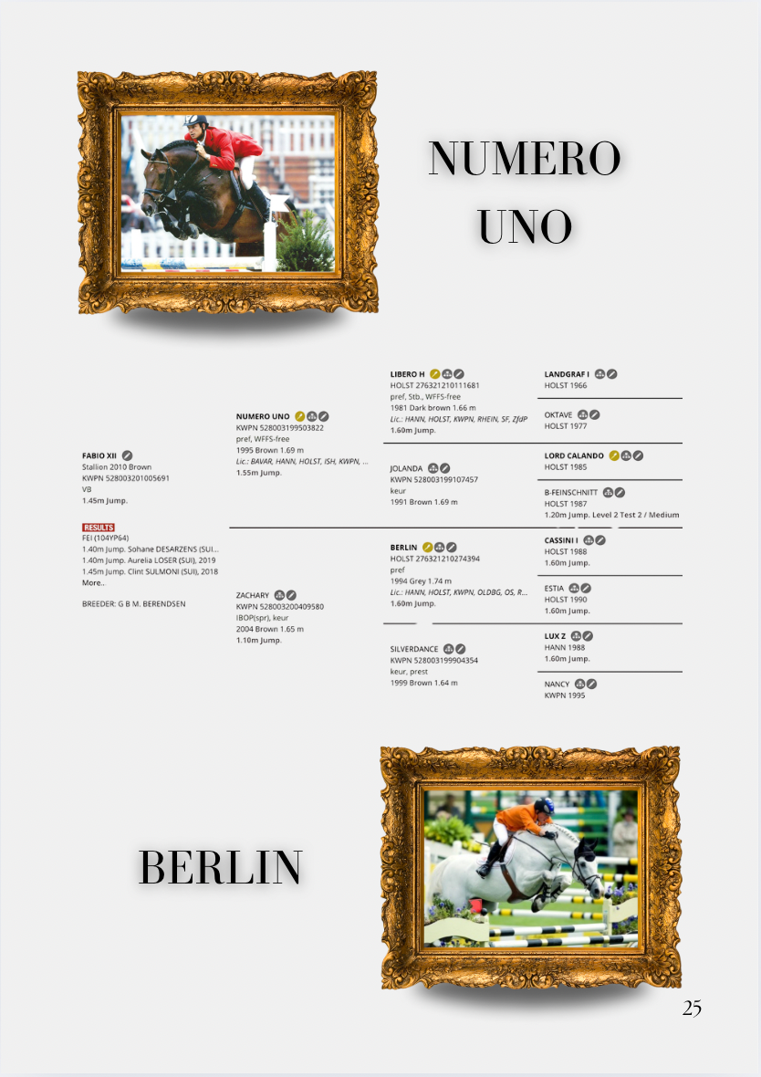 Personalized Magazine - Animal Edition